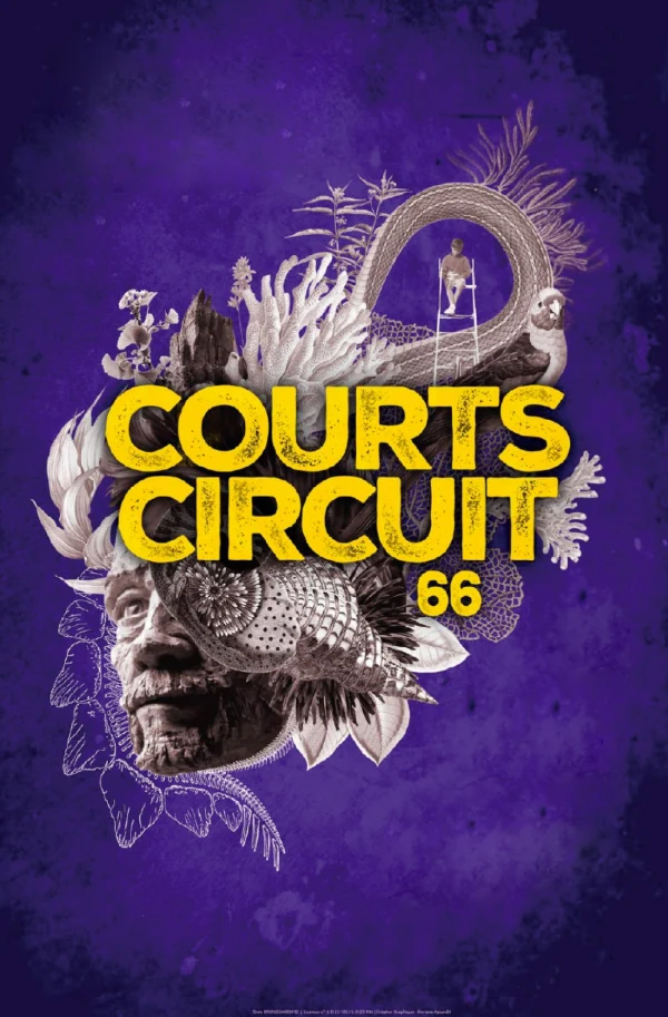 Cinema: "Courts Circuit 66"
